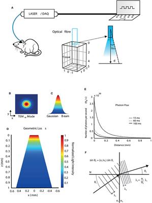 Modeling the Effect of Temperature on Membrane Response of Light Stimulation in Optogenetically-Targeted Neurons